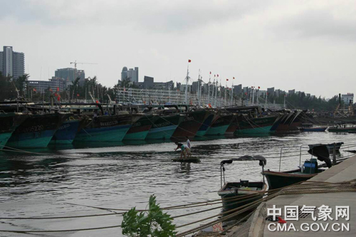 台风应对指南，如何准备与应对台风天气（最新消息）