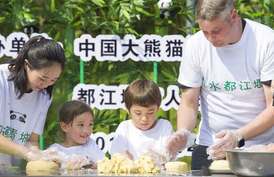 独家解析，冷培栋最新动态与观点阐述（11月3日更新）