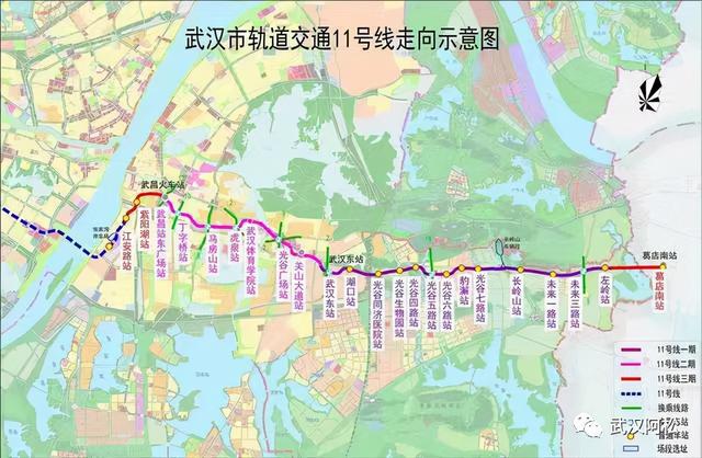 岱山11月最新规划实施指南，引领你完成规划任务的详细指南