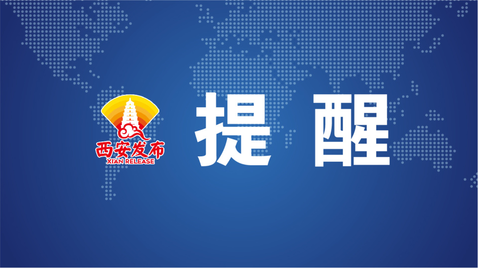 青岛市最新招聘信息揭秘，招聘奇遇与友情、梦想、家的温馨交汇