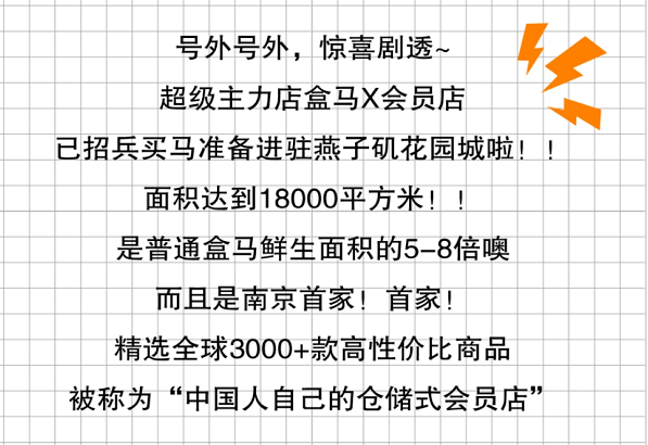 揭秘深巷独特小店背后的故事，11月贷款诉讼时效最新规定解读