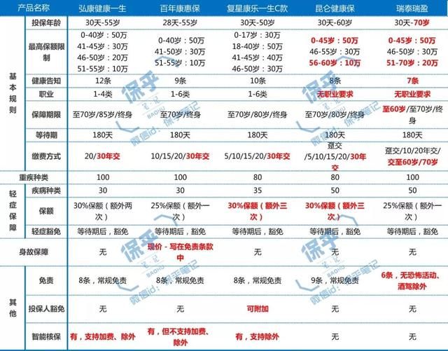 国寿e店最新版评测，特性、体验、竞品对比与用户群体深度分析，发布日期2024年11月16日