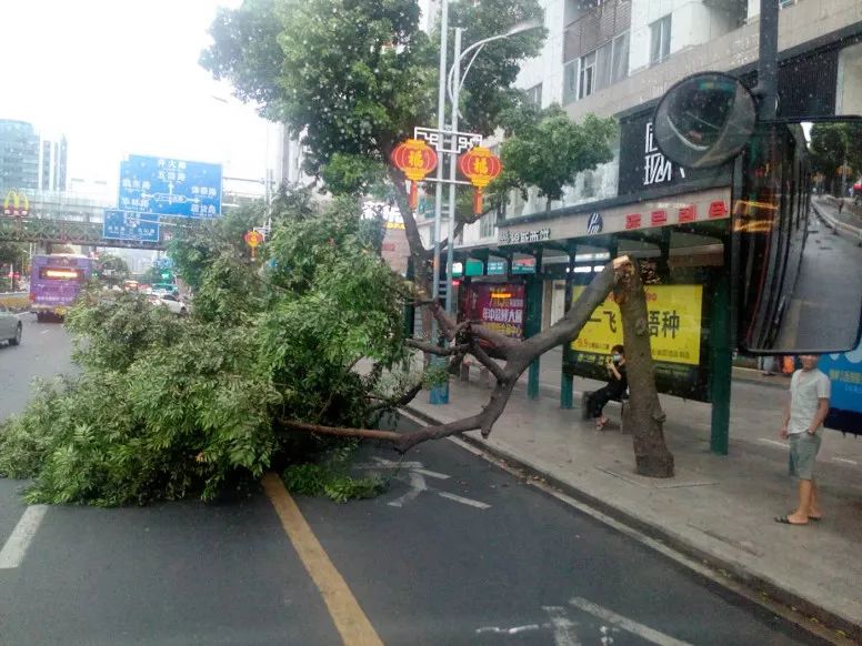 十一月最新台风动态，探索自然美景之旅，与台风共舞的心灵宁静之地探索